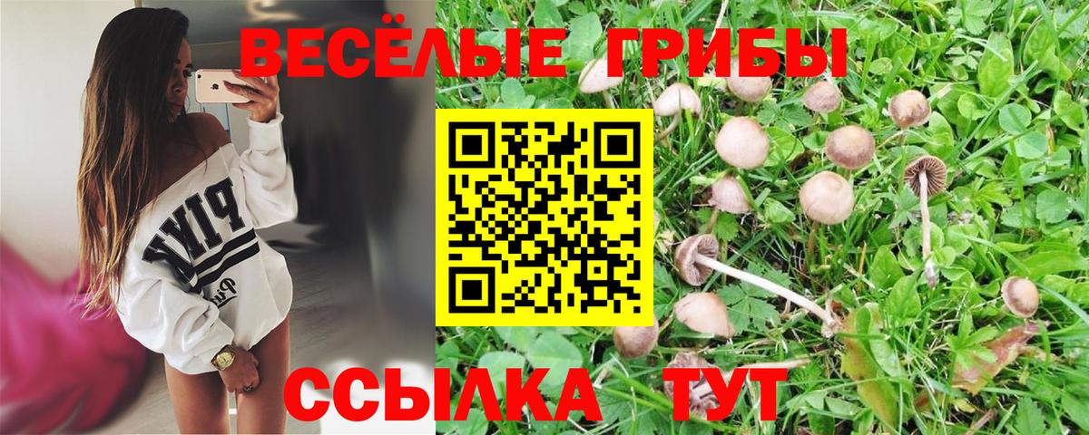 Галлюциногенные грибы Psilocybe  Вход с VPN  Псилоцибиновые грибы MAGIC MUSHROOMS  Качканар 